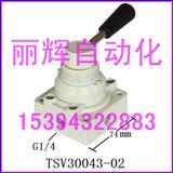 TSV30043-02D(zhun)y